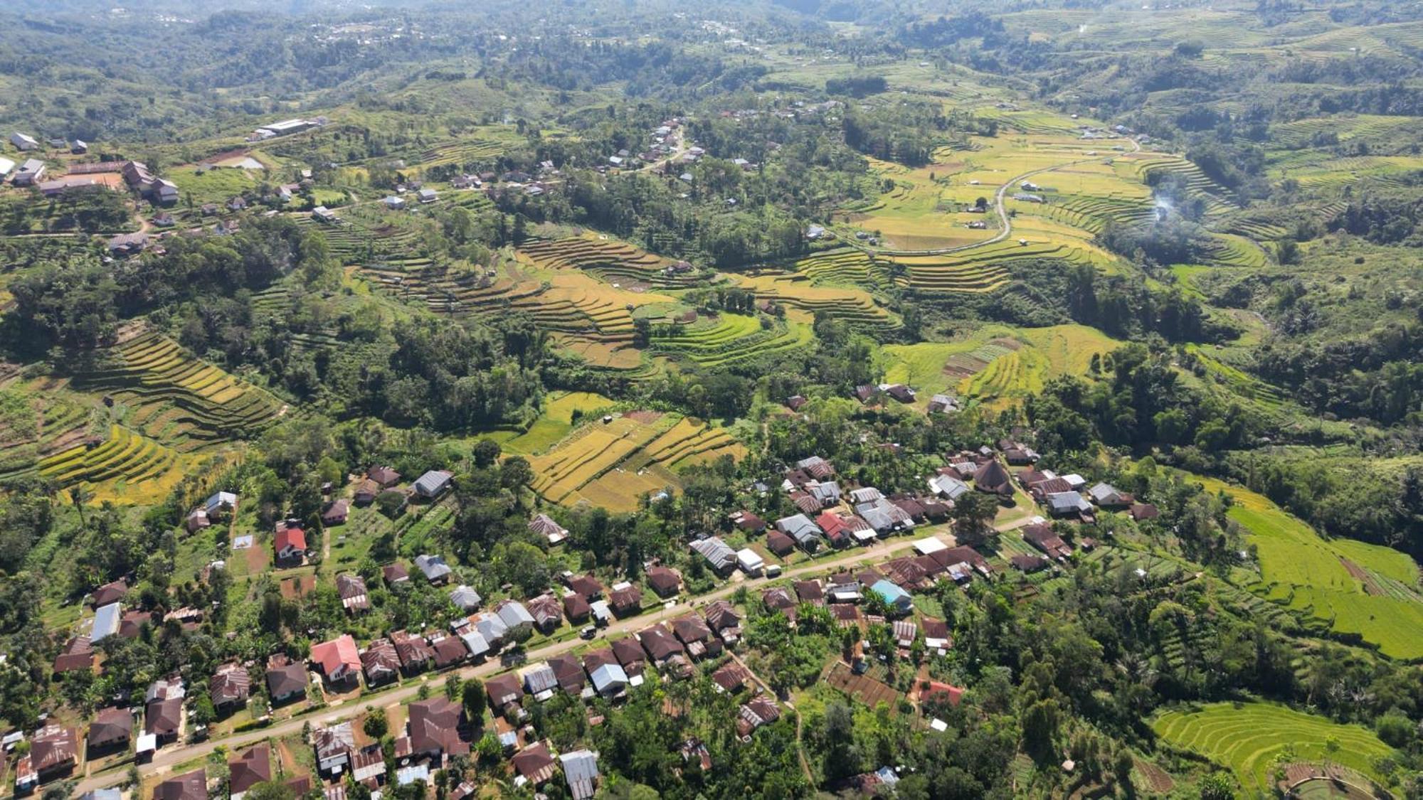 Sun Rice Homestay Ruteng Kültér fotó